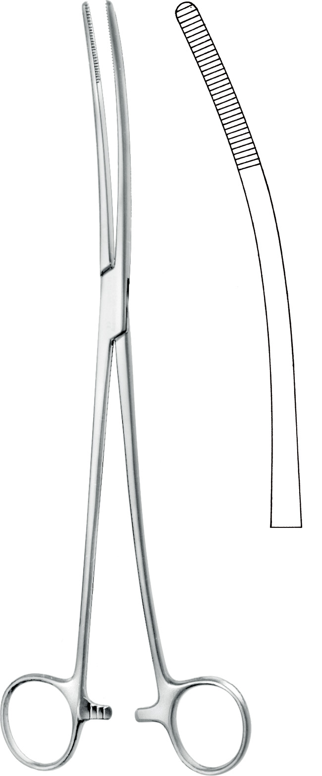 Sponge forceps, acc. to Bozemann, s-shape