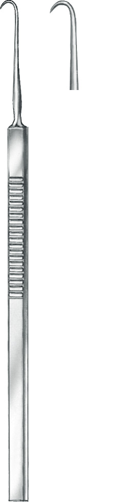 Hooklet, acc. to O'Connor, sharp, 1 prong