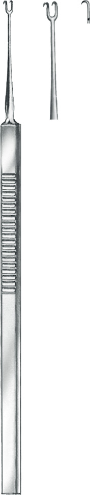 Hooklet, acc. to Guthrie, sharp, 2 prongs