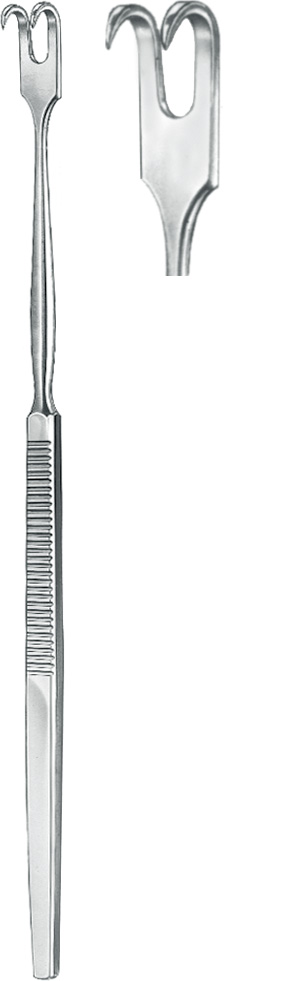 Hooklet, sharp, 2 prongs