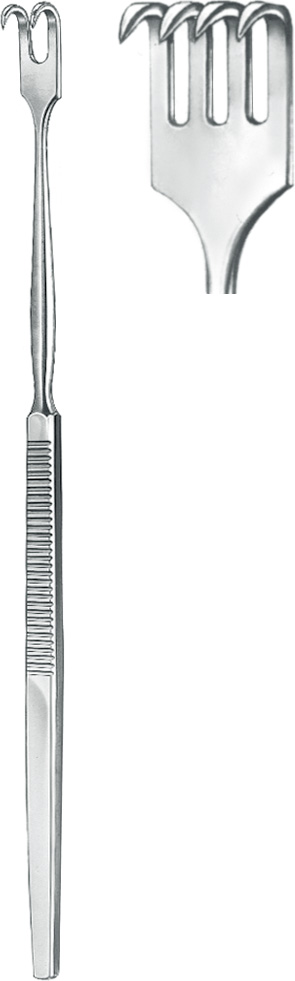 Hooklet, sharp, 4 prongs