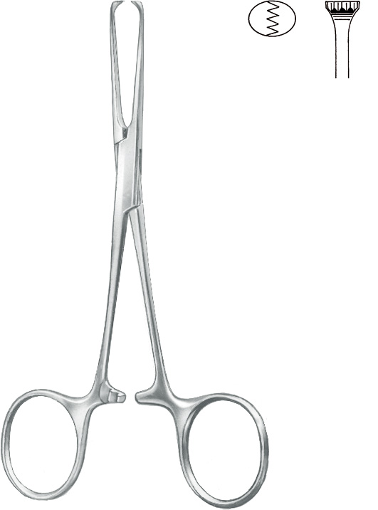 Intestinal grasping forceps, acc. to Allis-Baby, 4 x 5 teeth