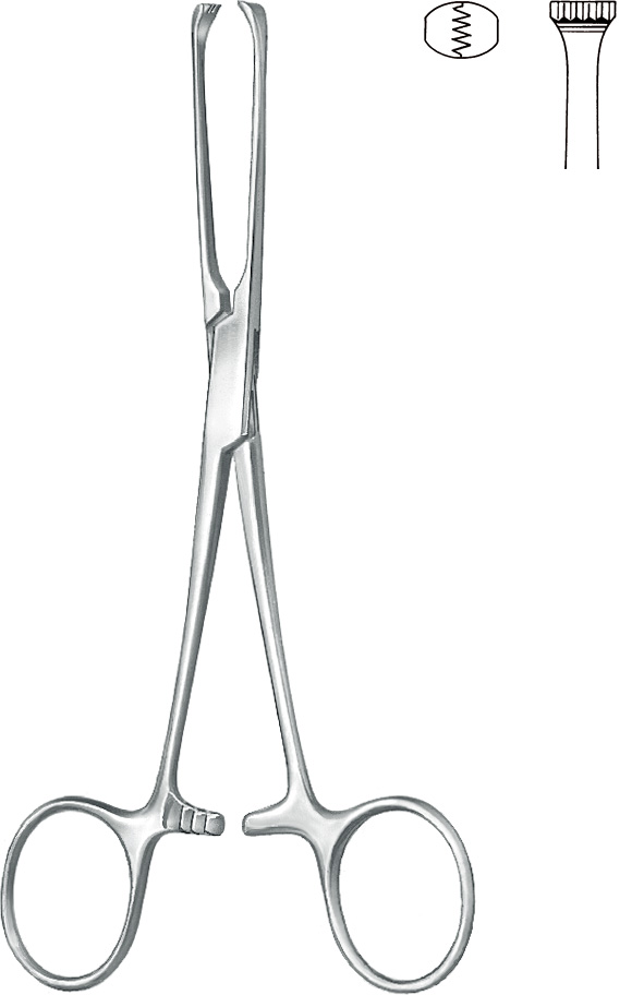 Intestinal grasping forceps, acc. to Allis, 4 x 5 teeth
