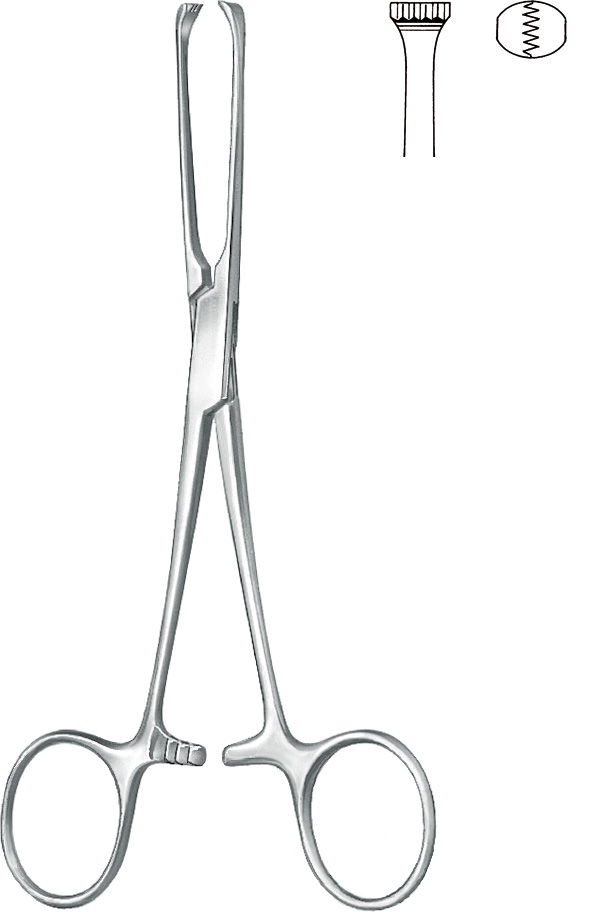 Intestinal grasping forceps, acc. to Allis, 5 x 6 teeth
