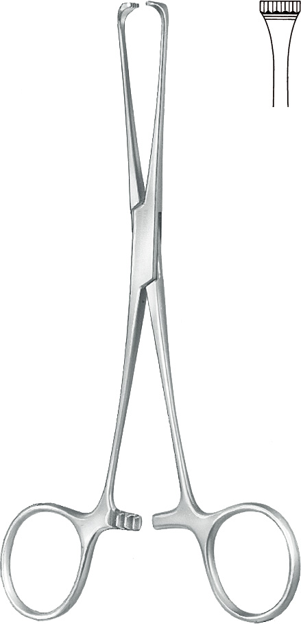 Intestinal grasping forceps, acc. to Boys-Allis, 5 x 6 teeth