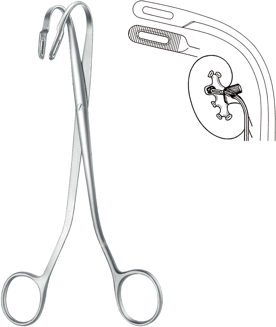 Kidney stone forceps, acc. to Randall, no. 2