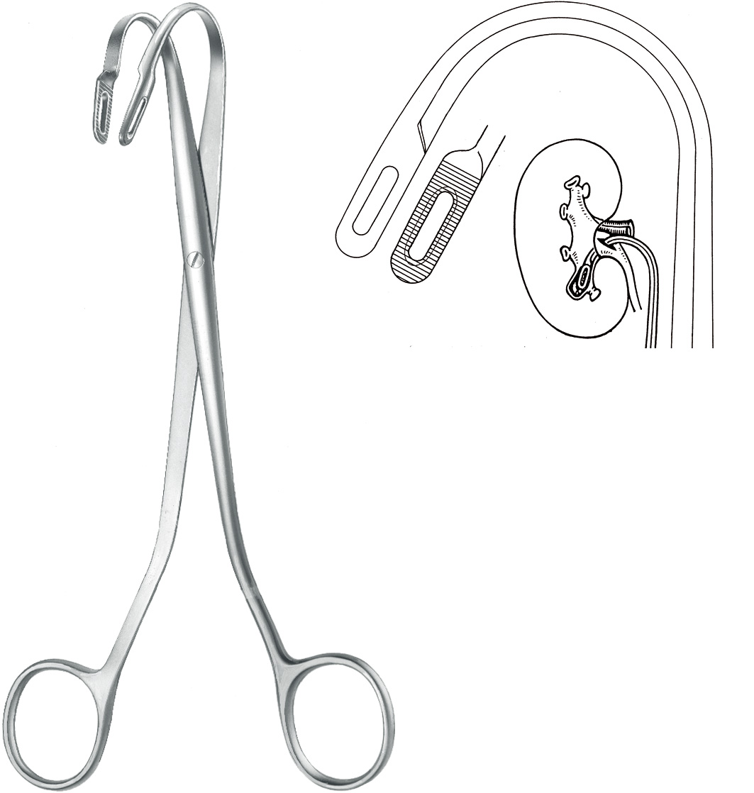 Kidney stone forceps, acc. to Randall, no. 4