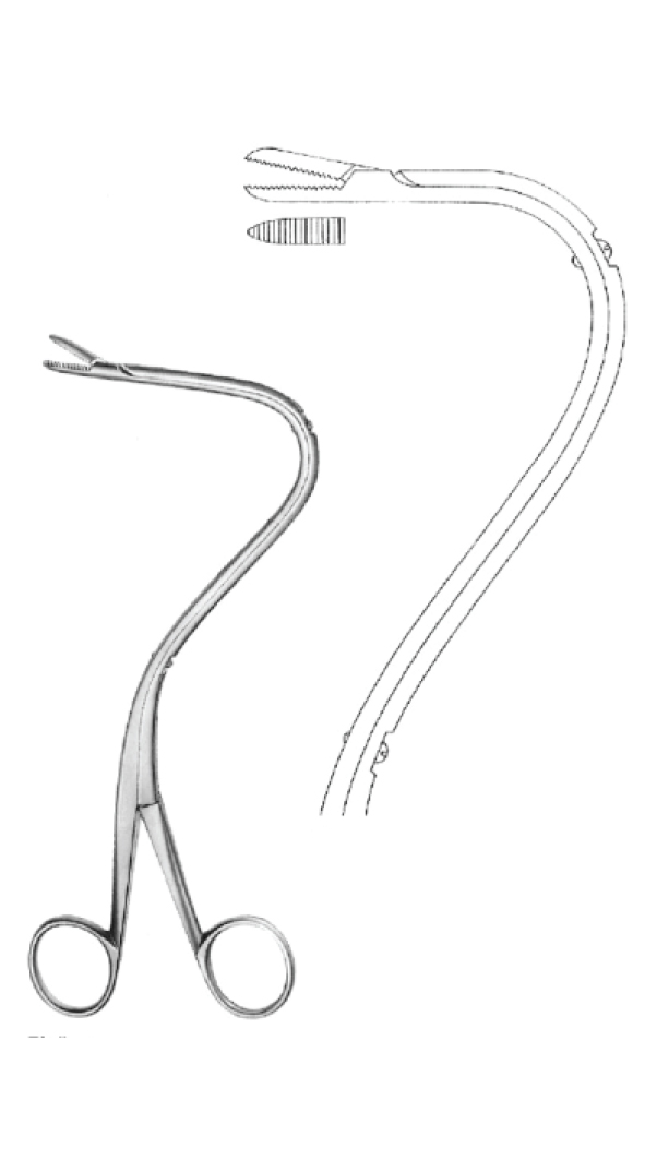 Material: stainless steel