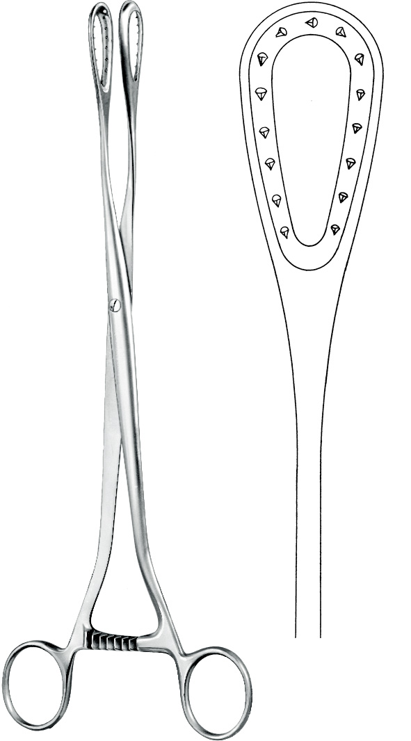 Ovum forceps, acc. to Saenger, straight