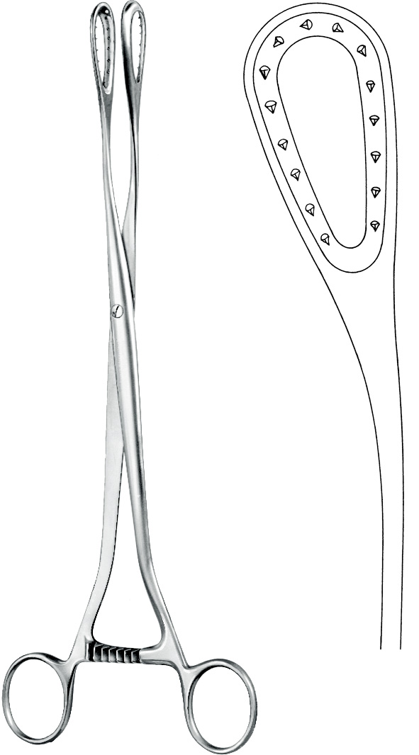 Ovum forceps, acc. to Saenger, curved