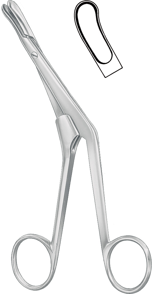 Septum forceps, curved right
